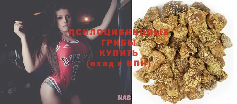 Купить Николаевск-на-Амуре ГЕРОИН  Cocaine  МЕФ  Гашиш  APVP 